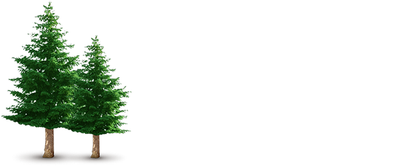 Vacation Home Renter Inc